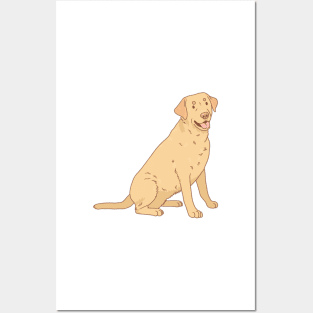 Yellow Labrador Retriever Posters and Art